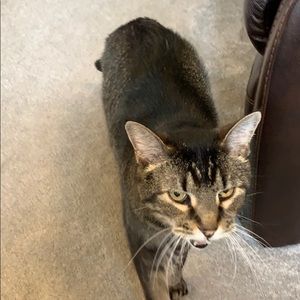 Meet your Posher, Barb